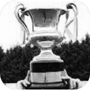 Northern Ireland Intermediate Cup