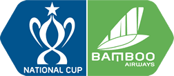 Vietnam National Cup