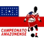 ब्राज़ीलियाई कैम्पियोनाटो अमेज़ोनेन्से डी फुटबॉल