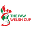 Welsh Cup