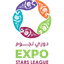 কাতার স্টারস লীগ