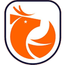 Chilean Primera Division