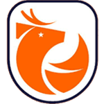 Chilean Primera Division