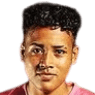 زافيير كروز