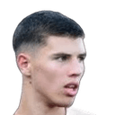 Ahmed Hadzimujovic