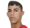 فان فان, مايك