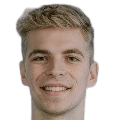 Tristan Teevali