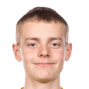 viggo laan der van