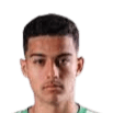 Davi Goes Silva Ferreira Carvalho