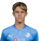 Mikkel brund