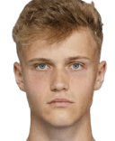 Fabian Vyhnalek