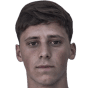 Diego Henrique Borges da Silva