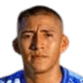 Ronnie Emanuel Rolandi Allende