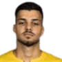 Matei marin