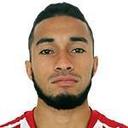 رافينيا