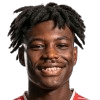 dircsi ngonzo