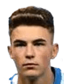 Cosmin Stana