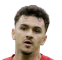لاورين فوجيل