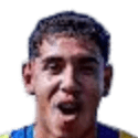 Joelson Manuel Gamarra Arbiniagaldez