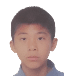 Han Wenbo