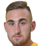 Davor Nedeljkovic