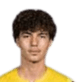 raul marita