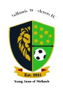 Midlands Wanderers