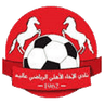 الإخاء الأهلي عاليه