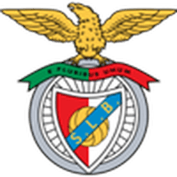 بنفيكا النسائي