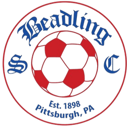 Beadling SC (W)
