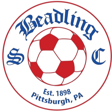 Beadling SC (W)