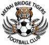Menai Bridge Tigers