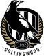 Collingwood