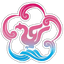 Wuxi Team