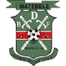BDF XI