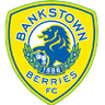 Canterbury Bankstown FC