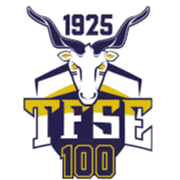 TFSE Budapest