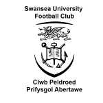 جامعة سوانسي