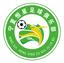 Shizuishan Hengxing Football Club U15