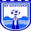 FK Rinija Gostivar