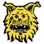 Ilves Tampere II