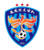 Phoenix Village Football Team