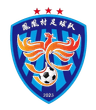 Phoenix Village Football Team