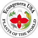 Ecuagenera