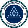 Shenzhen New Pengcheng Cuiyuan U13
