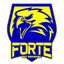 ফোর্টে FC