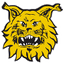 Ilves U20