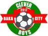 Baka City