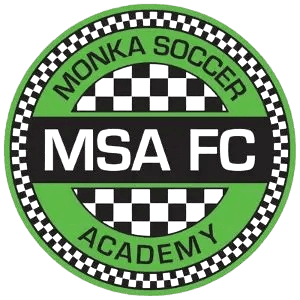 Bidhannagar MSA