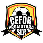 Cefor Promotora San Luis